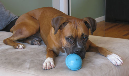 2011-09-09-jenny32