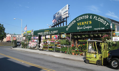 2010-08-07-Verni19.jpg