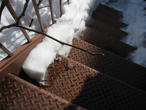 2011-02-03-Crone18.jpg