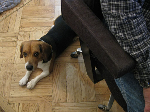 2011-03-10-Bob10.jpg