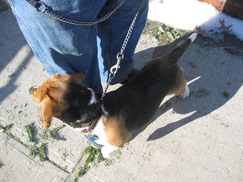 2011-03-10-Bob21.jpg