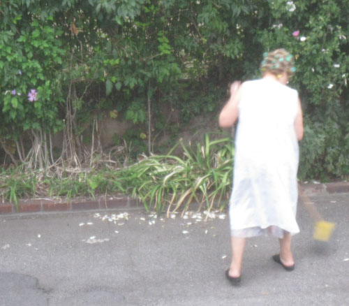 2011-06-14-Petal5.jpg