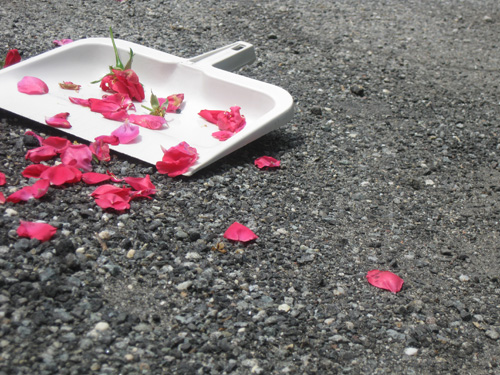 2011-06-14-Rose123.jpg