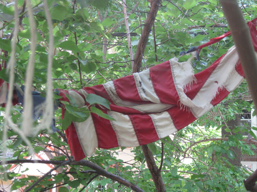 2011-07-27-Joe38.jpg