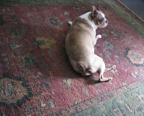 2011-10-17-Jeff3.jpg