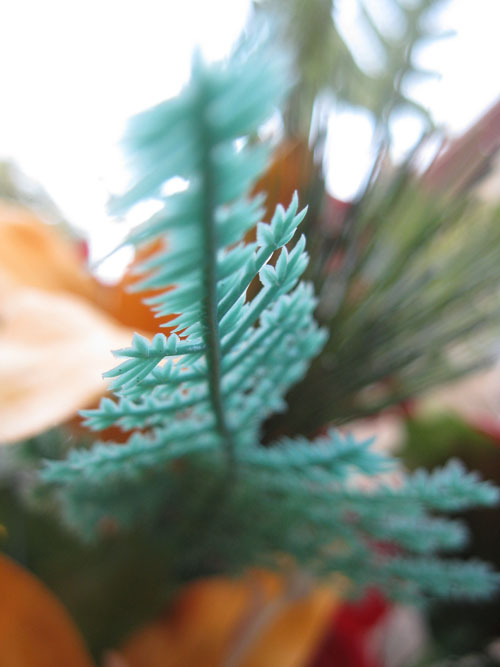 2012-01-05-Flower108.jpg