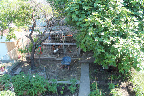 2012-06-24-Rob28.jpg