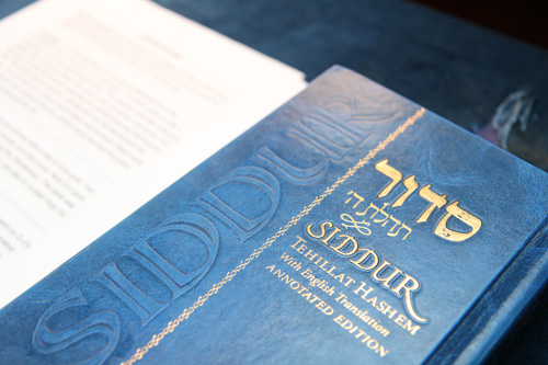 2013-02-24-Zev18.jpg