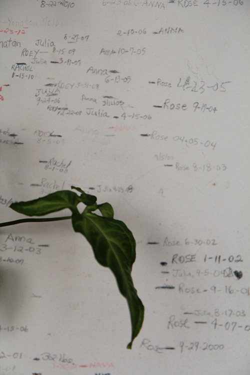 2013-03-20-Norm16.jpg